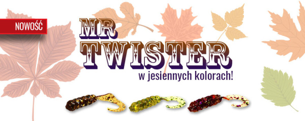 Odkryj lekki spinning na nowo w jesiennych kolorach!